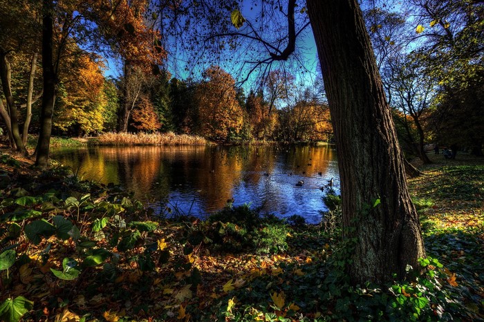 Autumn park with a pond in Warsaw, Poland