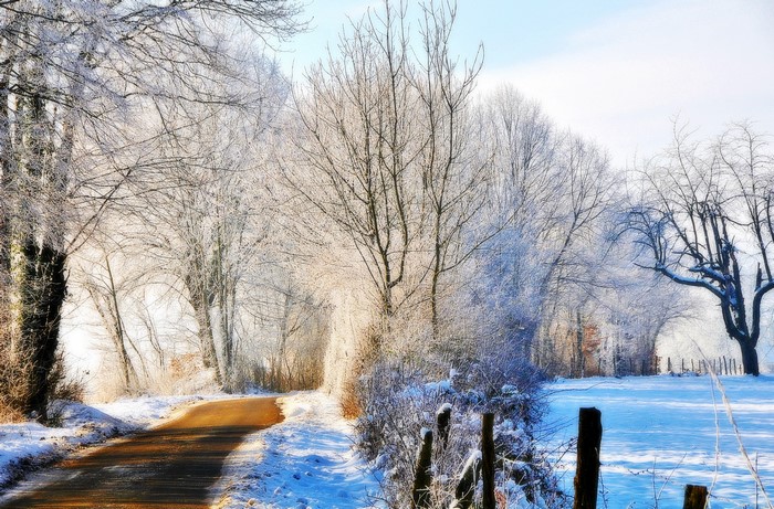 Winter road through a frosted forest