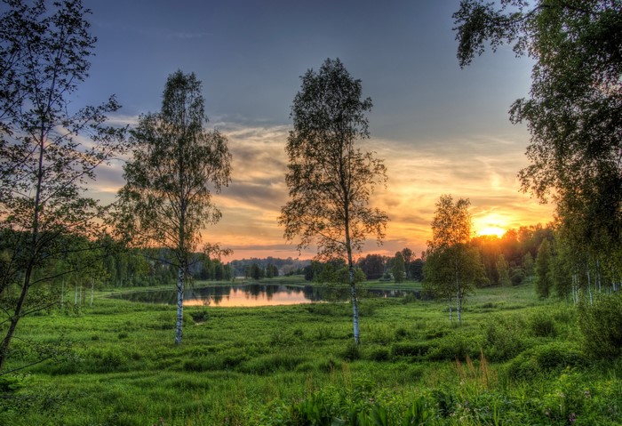 Sunset over a lake in Estonia with trees and grass