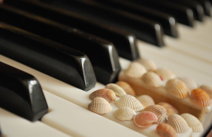 Shells on Piano Keys