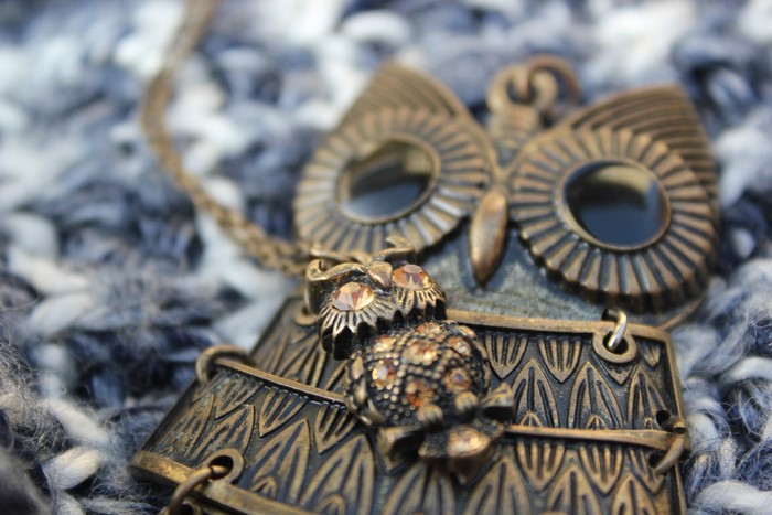 Close-up of an owl pendant necklace