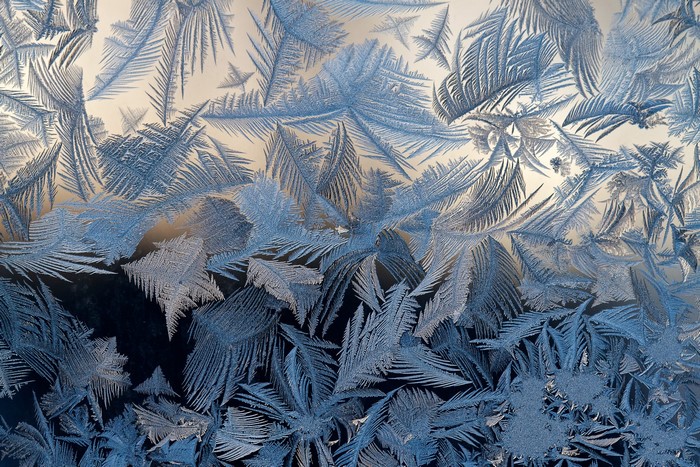 Close-up of frost patterns on a window