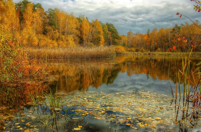 Autumn lake with colorful trees and reflections
