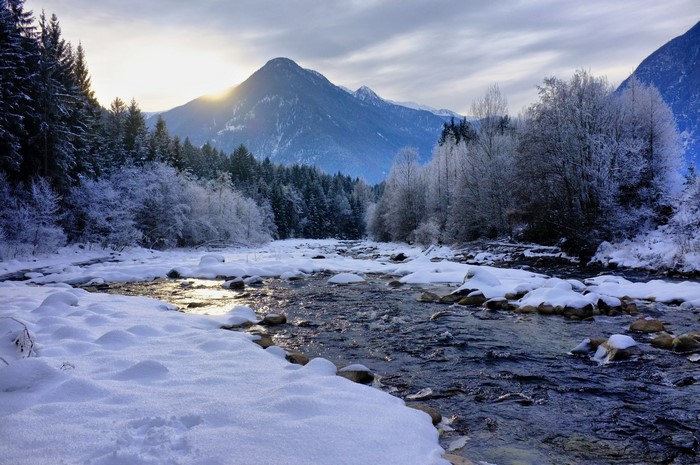 Winter Mountain River with Snow and Trees