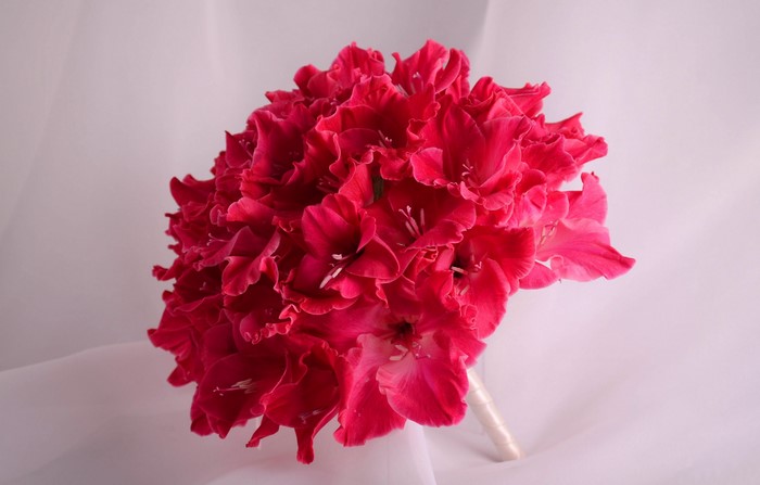 Bouquet of bright pink gladioluses