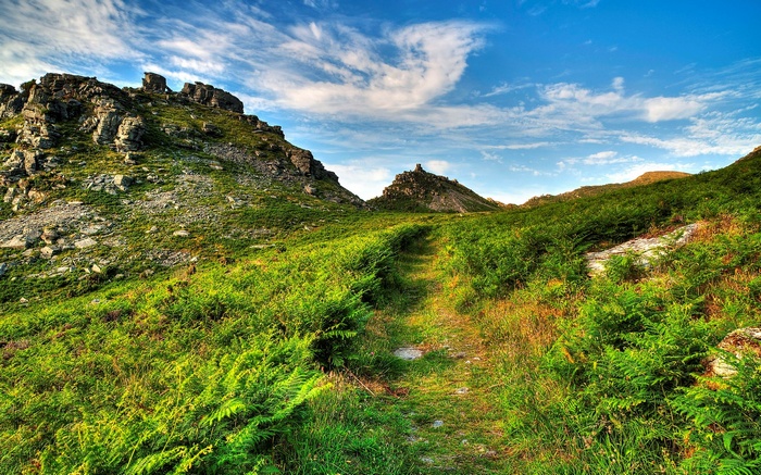 A path winds through a green, fern-covered hillside towards rocky peaks.