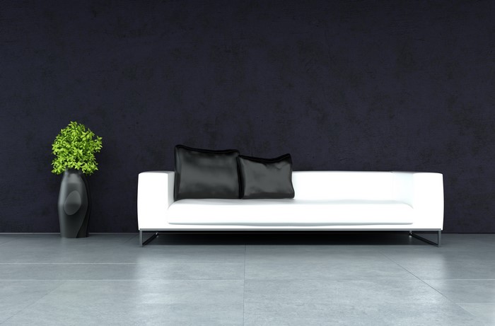 White sofa with black pillows and plant in a vase