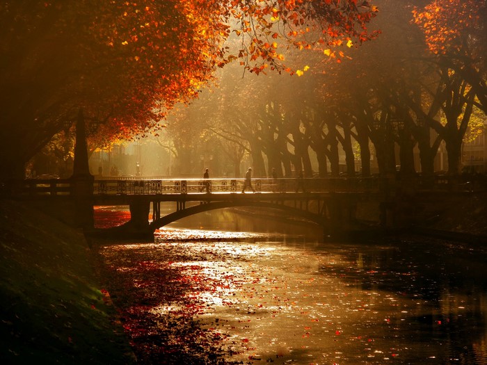 Autumn bridge over a river in Germany