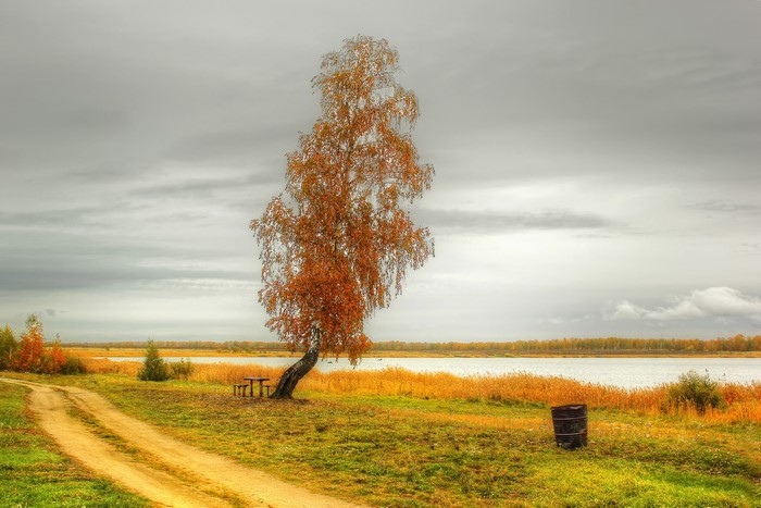 Autumn landscape with a birch tree by the lake