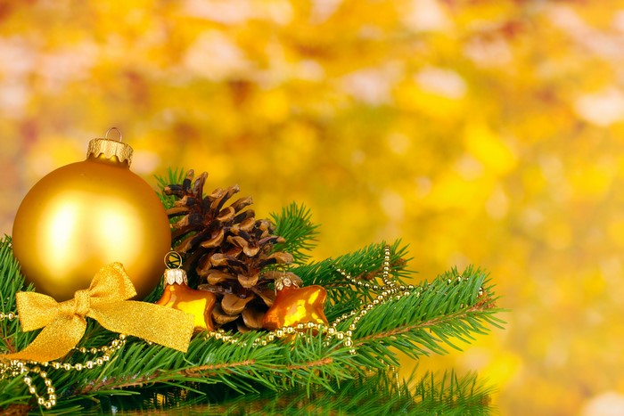 Christmas Ornaments with Pine Cone and Fir Branch