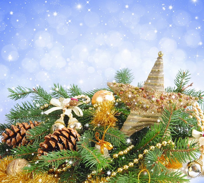 Christmas Decorations with Pine Cones and Star