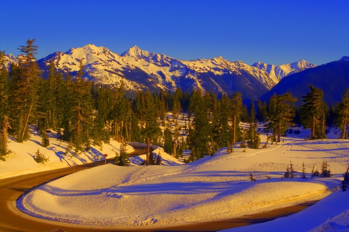 Snowy mountain road with pine trees and snow-capped peaks