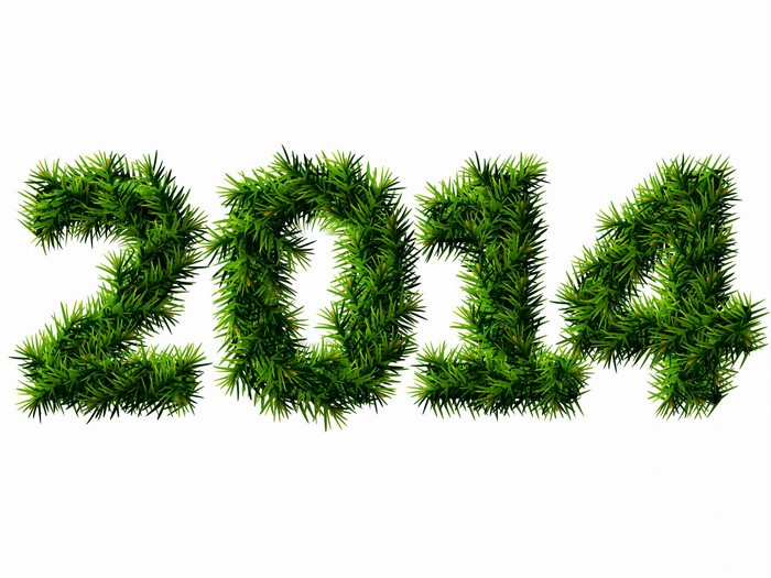 Christmas Tree Branches Forming the Year 2014