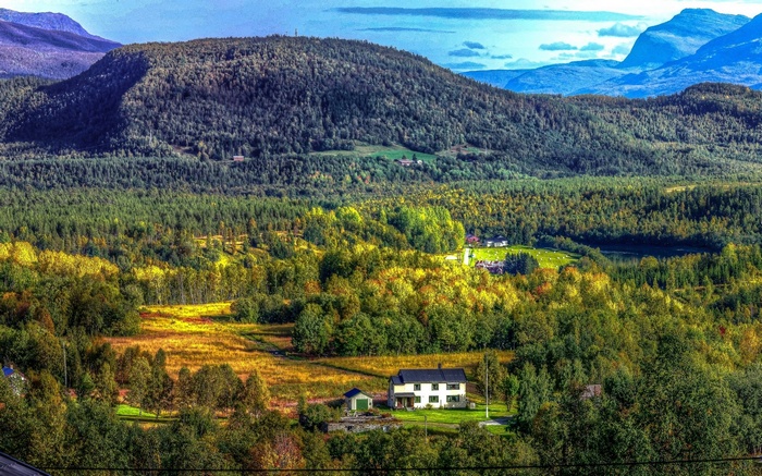 House in a forest with mountains in the background