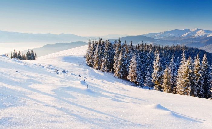 Snowy mountain landscape with pine trees