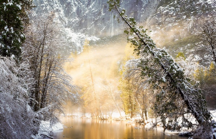 Winter scene with snow-covered trees and a river