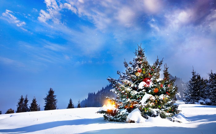 Decorated Christmas Tree in Snowy Landscape