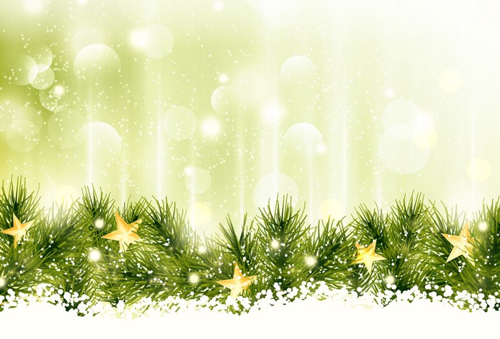 Christmas Pine Branches with Stars and Snow