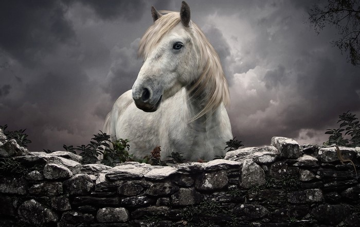 White horse behind a stone wall under a stormy sky