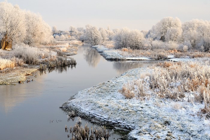 Winter landscape with a frozen river and trees in Lithuania