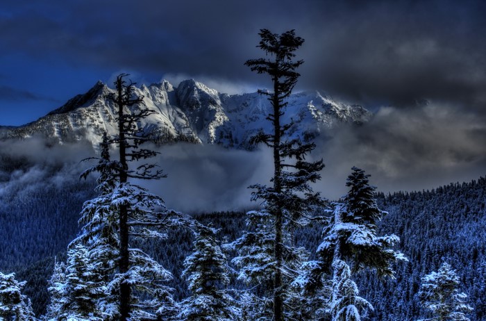 Snowy mountains and pine forest in winter