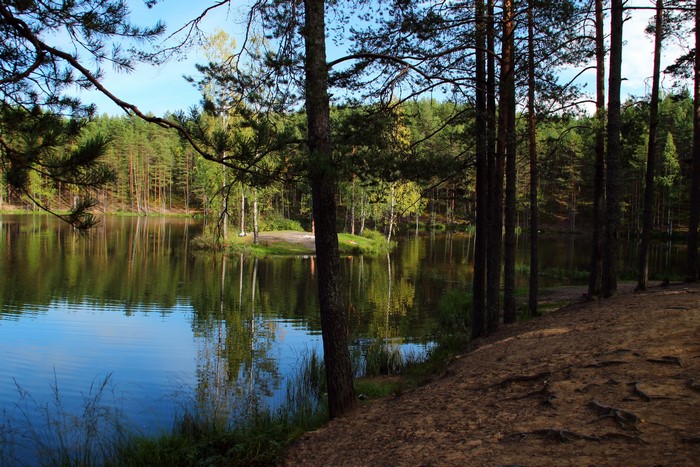 Lake and forest in Russia