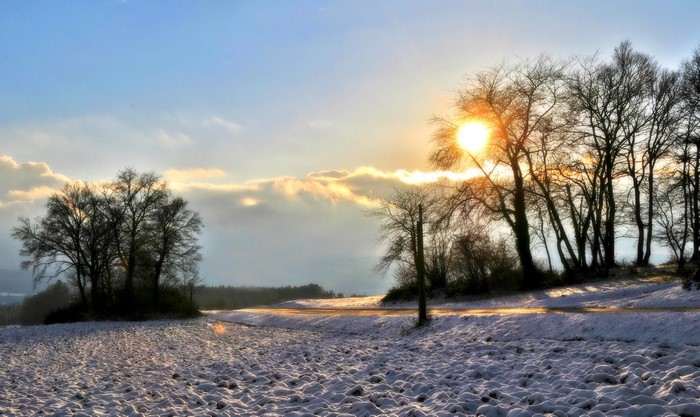 Winter snow landscape with trees and sun