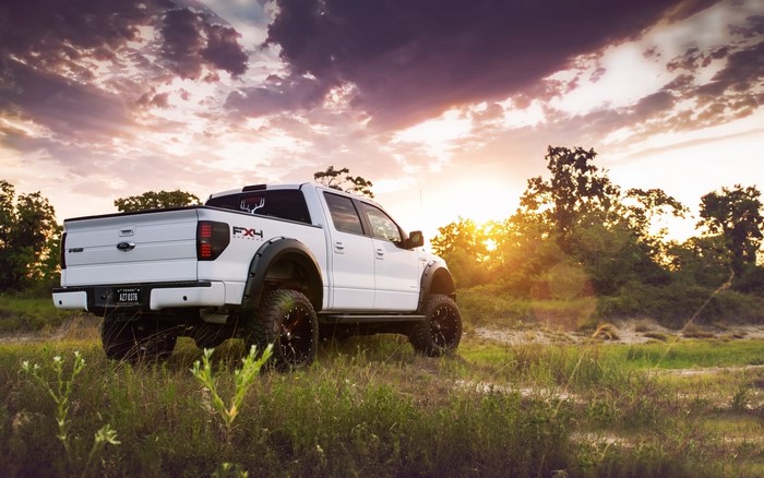 White Ford F-150 FX4 Truck in Grass