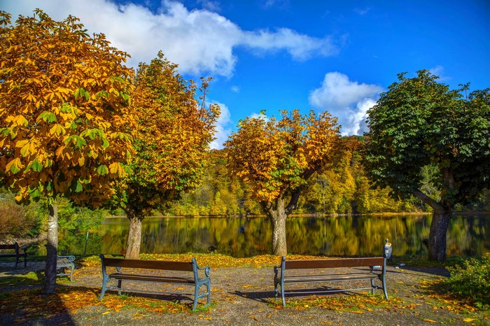 Autumn scene with trees and benches by a lake in Germany