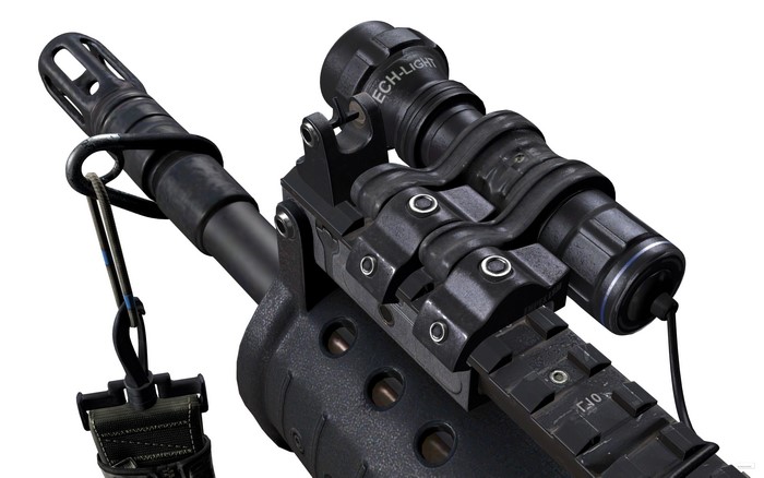 Rifle with ECH-LIGHT tactical flashlight