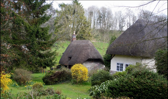 Thatched roof cottages in a garden with trees