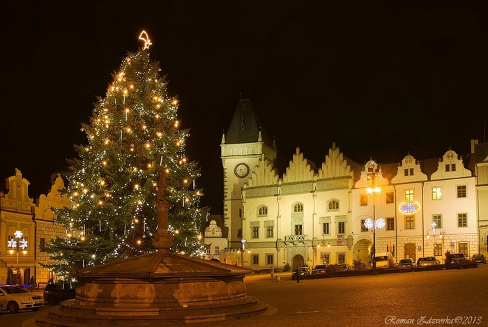 Christmas tree and buildings at night in Czech Republic