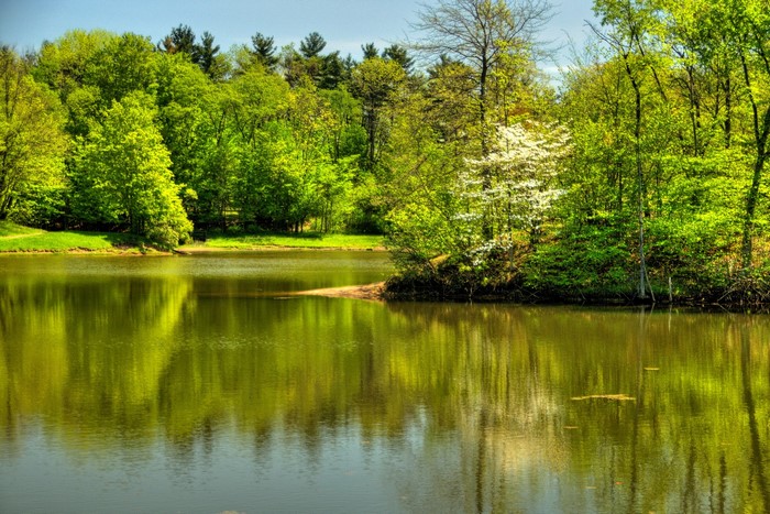 Lake and trees in Randall, Ohio, USA