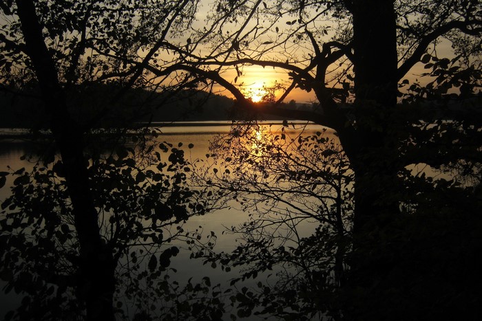 Sunset over a lake in Poland through trees