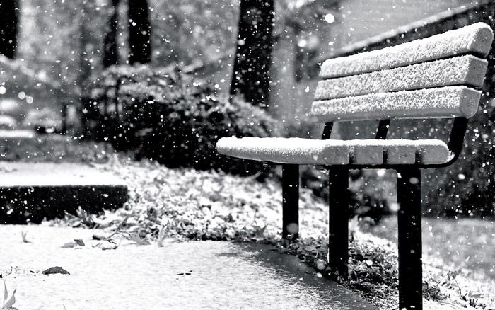 Snow falling on a park bench