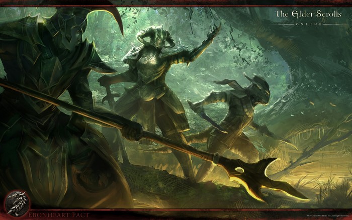 The Elder Scrolls Online Ebonheart Pact Warriors