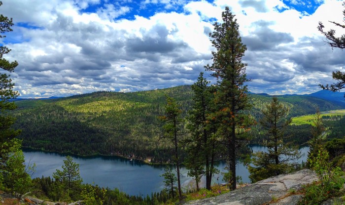 Lake and Forest Scenery in Washington, USA