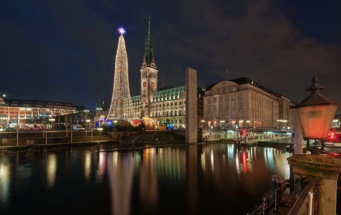 Hamburg City Hall at Night with Christmas Tree