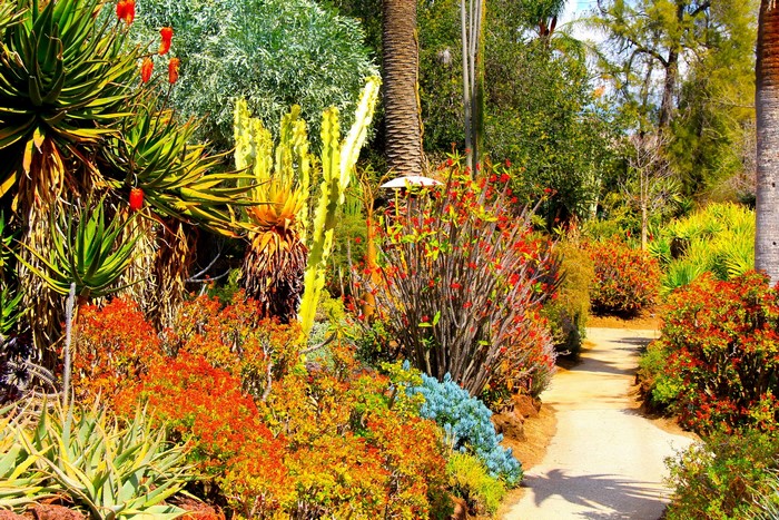 Botanical Garden in San Marino, California