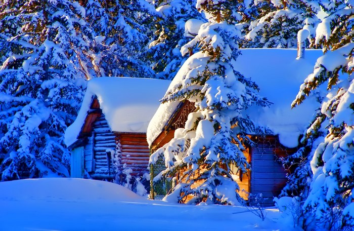 Log cabins covered in snow surrounded by pine trees