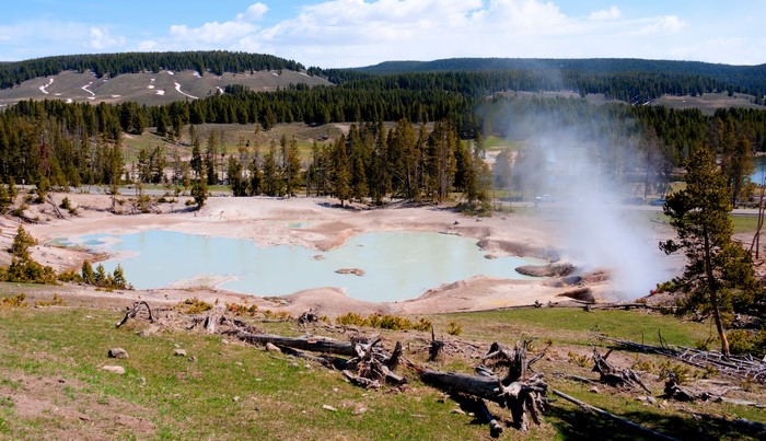 Yellowstone National Park Mud Pot and Forest