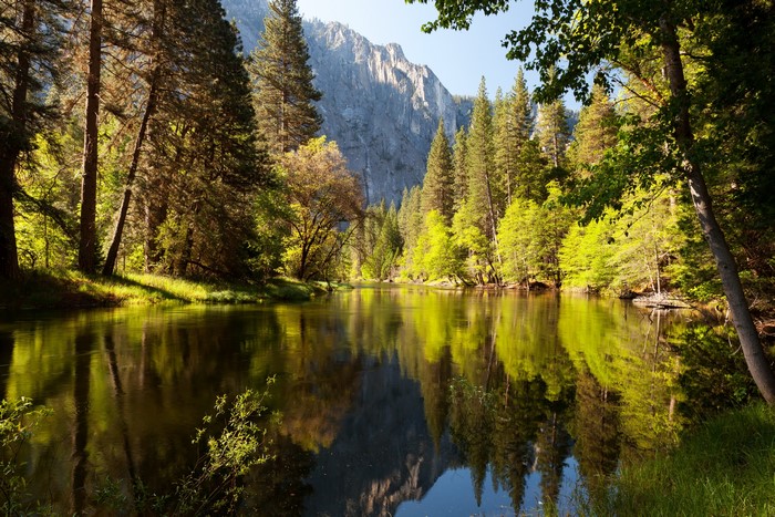 River and forest in Yosemite National Park, California