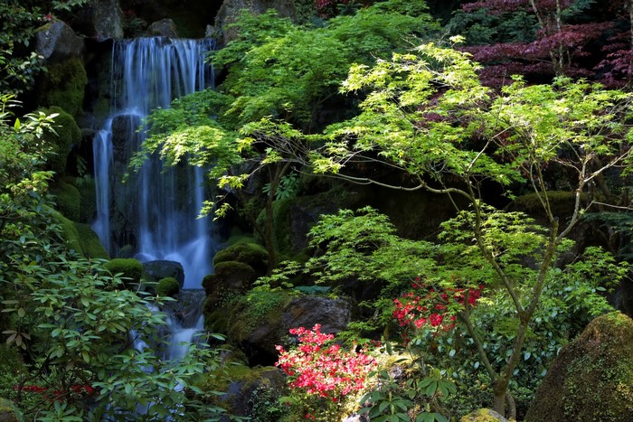 Waterfall in a Japanese Garden in Portland, Oregon