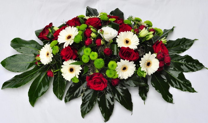 Red and white flowers with green foliage