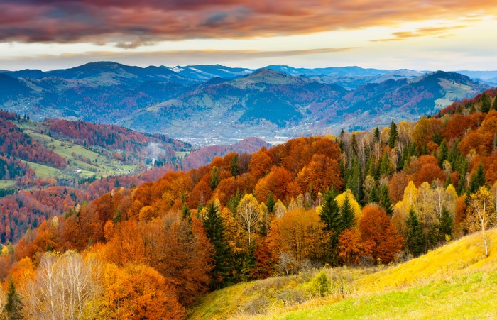 Autumn forest scenery with mountains