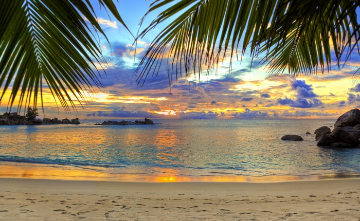Sunset over a tropical beach with palm trees