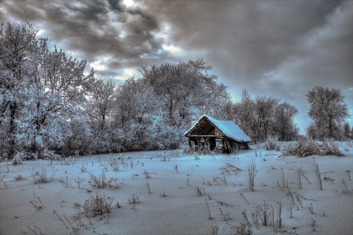 Winter scene with snow-covered trees and abandoned barn
