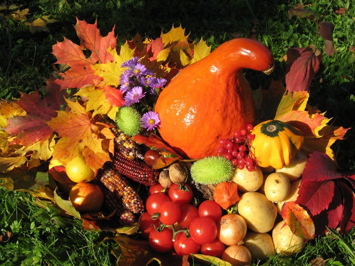 Autumn harvest display with pumpkins, corn, and vegetables