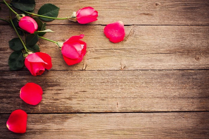 Red roses and petals on a wooden surface