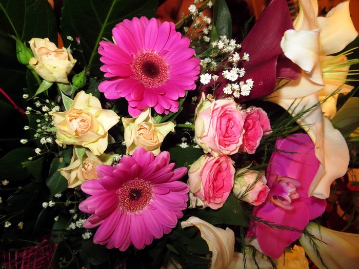Bouquet of Roses, Lilies, Gerberas, and Callas
